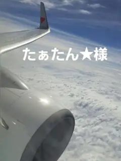 たぁたん★様