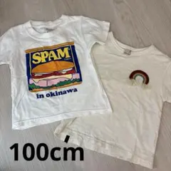 スパム　Tシャツ　沖縄　100cm