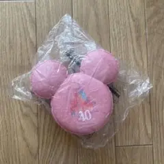 ディズニーランド ディズニーシー スーベニア スーベニア マカロン ケース