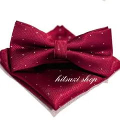 Item thumbnail for item 4f3012de-1b61-4ab8-9a45-e5f9f4427319