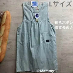 Item thumbnail for item 1e48492d-7c32-493b-8be5-08fb2c89752c