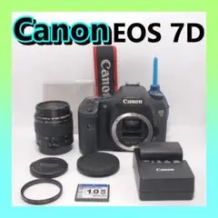 Item thumbnail for item 19e80e0c-b992-402b-b8d5-ca03c7302542