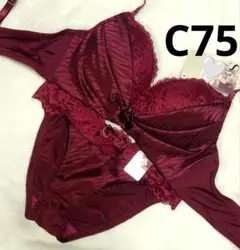 Item thumbnail for item 39de8970-4f35-4dd6-b54b-2add065dac82