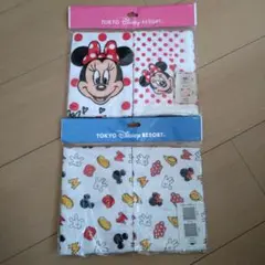 TDR ふきん　ミニーマウス