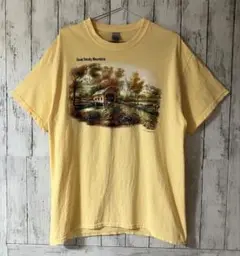 【平成Y2K】ギルダン グレートスモーキー山脈 プリントTシャツ ドミニカ製 L