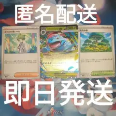 ポケモンカード メガフシギバナex ミツルの思いやり 活力の森 3枚セット