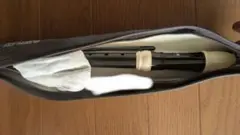 Item thumbnail for item 4fd7f432-321d-49ad-9897-50c933d843aa