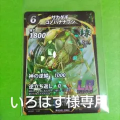 いろはす様…リクエスト