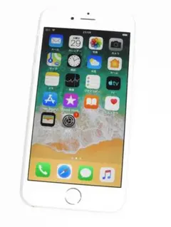 iPhone6 64GB A1586 NG4H2J/A SoftBank