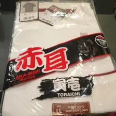 Item thumbnail for item 1eead911-5ea6-4c0a-bb71-f666a81aef59