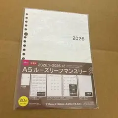 【2026年】ダイソー A5 ルーズリーフ フリーマンスリー 20穴 新品未使用