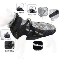 Item thumbnail for item 44a09137-7d4b-498b-88db-bb62baad2d51