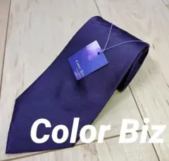 【タグ付き】　Color Biz メンズ ネクタイ おしゃれ