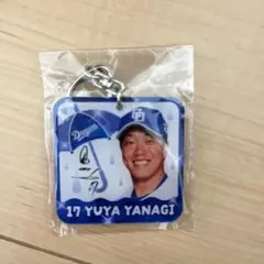 中日ドラゴンズ ガールズシリーズアクリルキーホルダー 柳裕也 高橋周平2点セット
