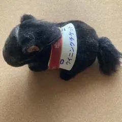 ウイニングチケット　ぬいぐるみ　日本ダービー　アバンティ