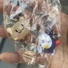 truz めじるしアクセサリー ガチャガチャ woopy ruru