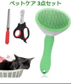 Item thumbnail for item ab3e6215-c8c4-4c65-bdd3-594561581241