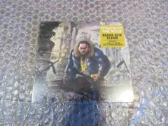 新品 RAEKWON THE WILD