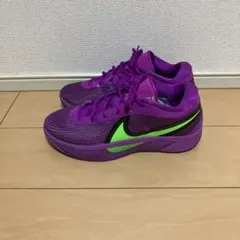Nike ヤニス フリーク6 EP 紫/緑