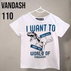 VANDASH❤恐竜Tシャツ 110 白 トップス ディノサウルス 男の子