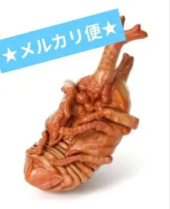 いきもの大図鑑 かぶとむし０７　ヤマトカブトムシ