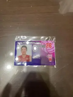 佐藤淑乃 バレーボール女子 ネーションズリーグ アクリルカードキーホルダー