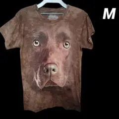 THE MOUNTEN　リアルレトリバーTシャツ　犬柄　ダイダイ柄　Mサイズ