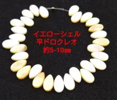 イエローシェル　平ドロクレオ　約5-10㎜(HA-1645)