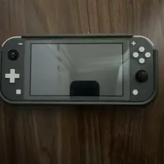 Nintendo Switch Lite グレー 本体
