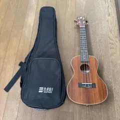 6月末まで出品　nagi アコースティックギター　傷あり・錆あり NAGI GUITAR shiro.E ナギ アコースティックギター シロ