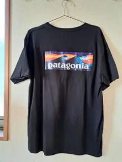 patagonia 波ロゴ Tシャツ xl パタゴニア