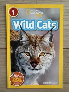 新品英語絵本　Wild Cats - National Geographic