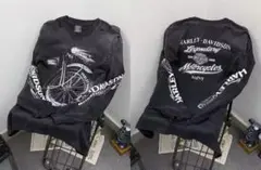 Item thumbnail for item 649f39c3-299a-4f58-8061-ee5073df93d2