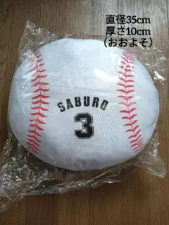 Item thumbnail for item 495019b0-23f0-454b-91a4-0fc05df27b51