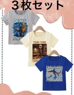 さらにお値下げ‼️トゥントゥントゥンサフール他Tシャツ3枚セット104〜116cm