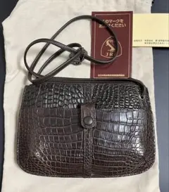BAGFAN ハンドバック　2way クロコダイル 楽天市場】クーポンでOFF【クロコダイル革】クロコダイル ハンド