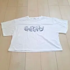 Lサイズ シンプル Tシャツ ホワイト レディース