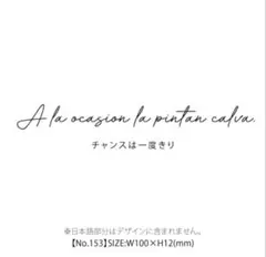 マジックタトゥーシール1枚「チャンスは一度きり」