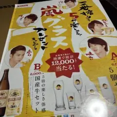 嵐特大ポスター