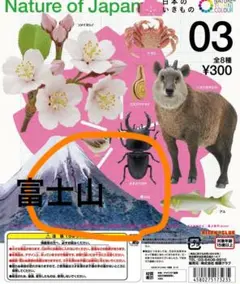 ネイチャーオブジャパン　富士山