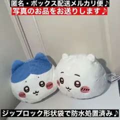 2種コンプ！　ちいかわプレミアムドームクッション“ちいかわ&ハチワレ”