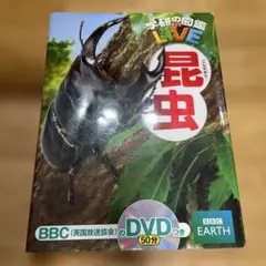 昆虫　DVDなし