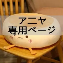 ア二ヤ 専用ページ