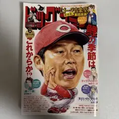 ビッグコミック増刊 2025年6月17日号増刊号 新井貴浩 広島東洋カープ