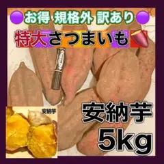 お得 無農薬 特大 さつまいも 訳あり 安納芋 5kg 数量限定