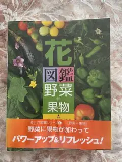 花図鑑野菜+果物　野菜ソムリエ