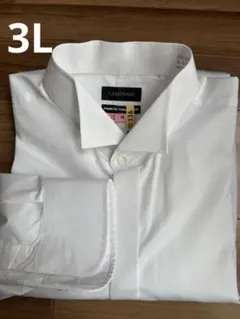 Item thumbnail for item 5c92a5eb-c80a-41bb-9028-5941ad10670a