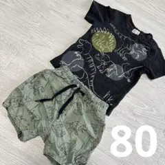 恐竜 コーデ 80 セット まとめ売り