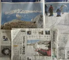信濃毎日新聞　雷鳥特集記事