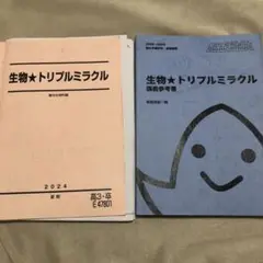 2025年最新】駿台 ミラクルの人気アイテム - メルカリ